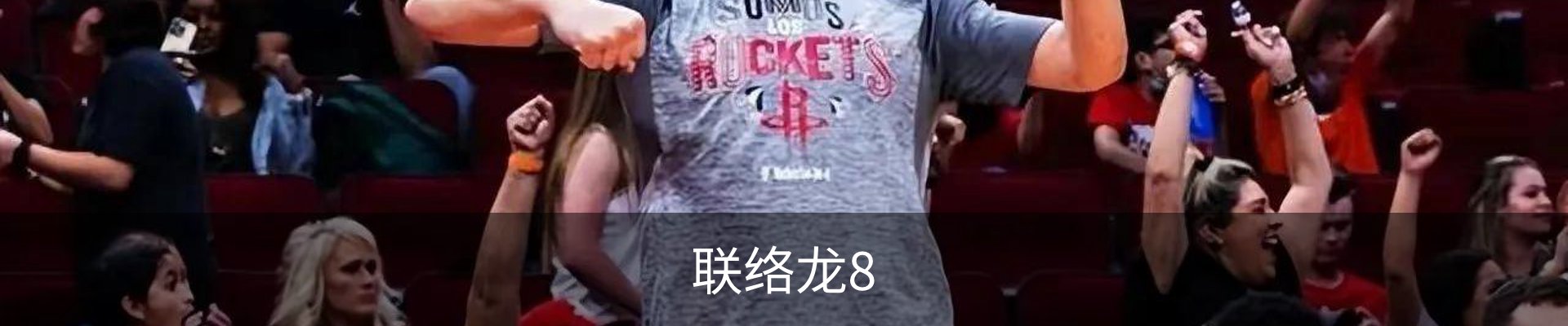 联络龙8